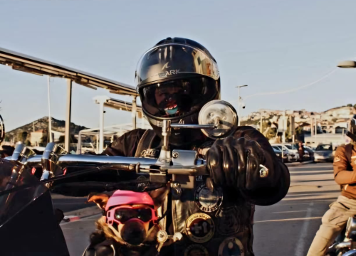 Fotografija 6 - Bajkerica Rea šibenska je atrakcija