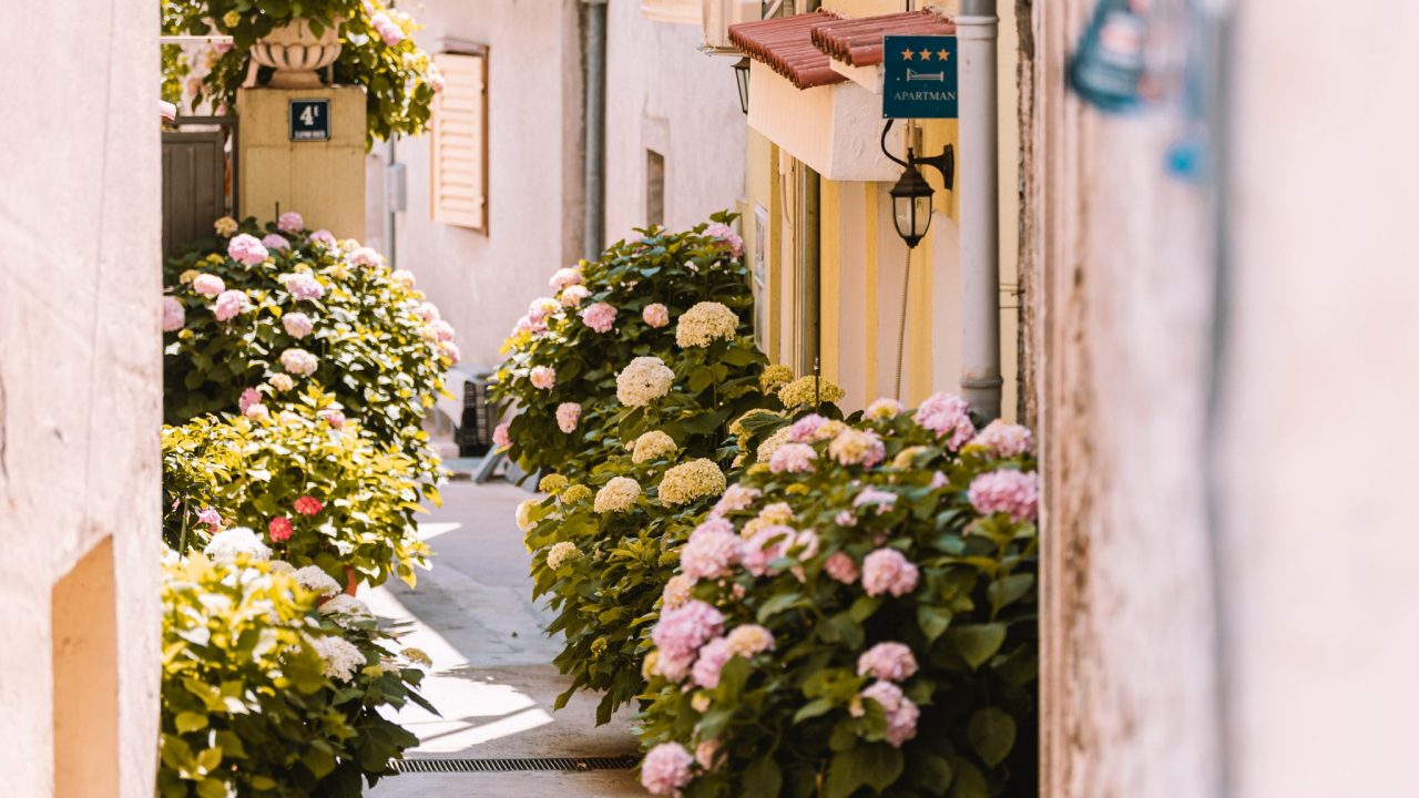 Prijave u tijeku: Postanite najbolji iznajmljivač Šibensko-kninske županije i osvojite vrijedne nagrade
