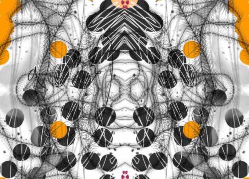 Fotografija 2 - Bartol Juraga ima tek sedam godina i uskoro otvara izložbu