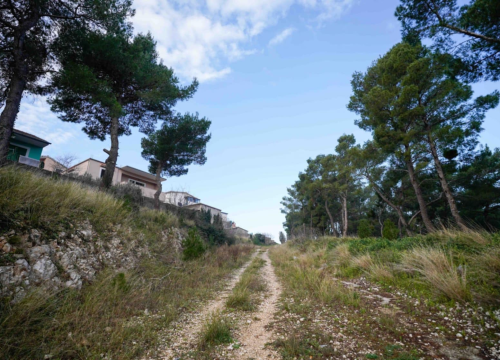 Fotografija 6 - Mandalina će dobiti novu cestu: Grad Šibenik dobio dozvolu za izgradnju