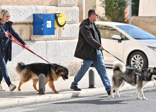 Fotografija 21 - Đir po gradu, nedjelja 2. veljače