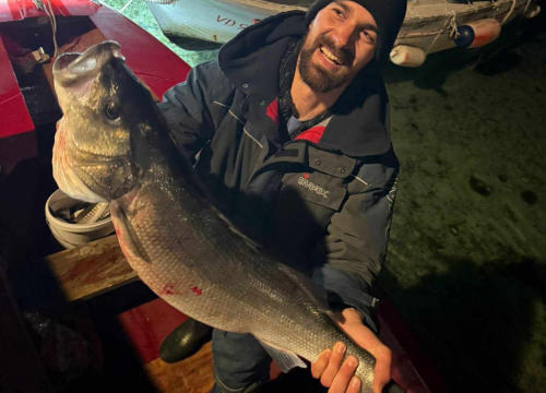 Fotografija 3 - Rekordni ulov: Brancin od 8 kilograma ulovljen na sviću kod Srime