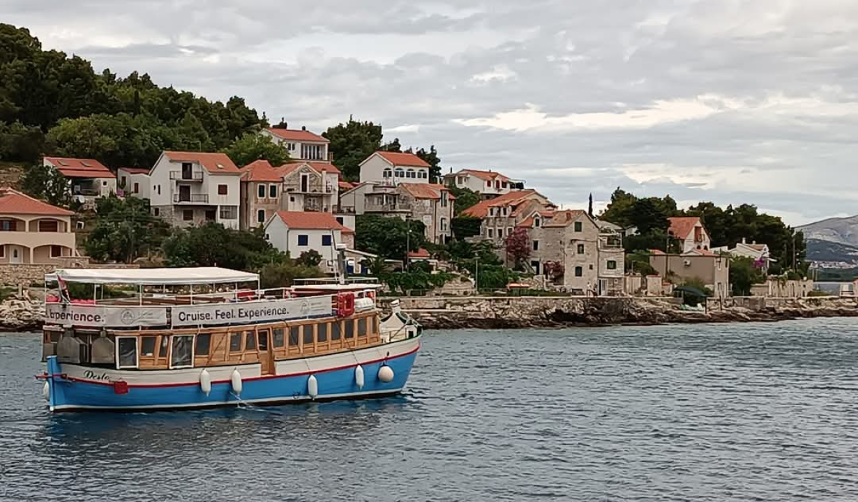 Desto: životna priča starog vodičkog trabakula