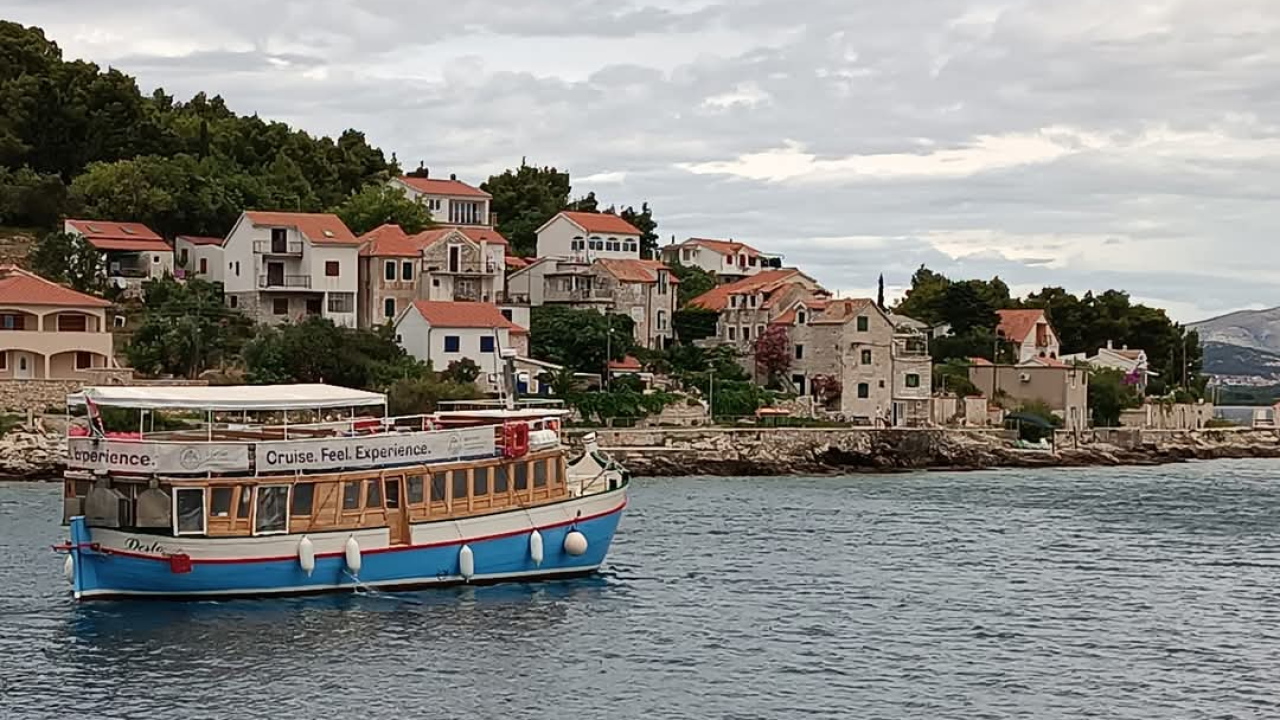 Desto: životna priča starog vodičkog trabakula