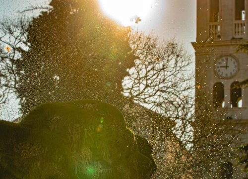 Fotografija 4 - Šibenska živa fontana