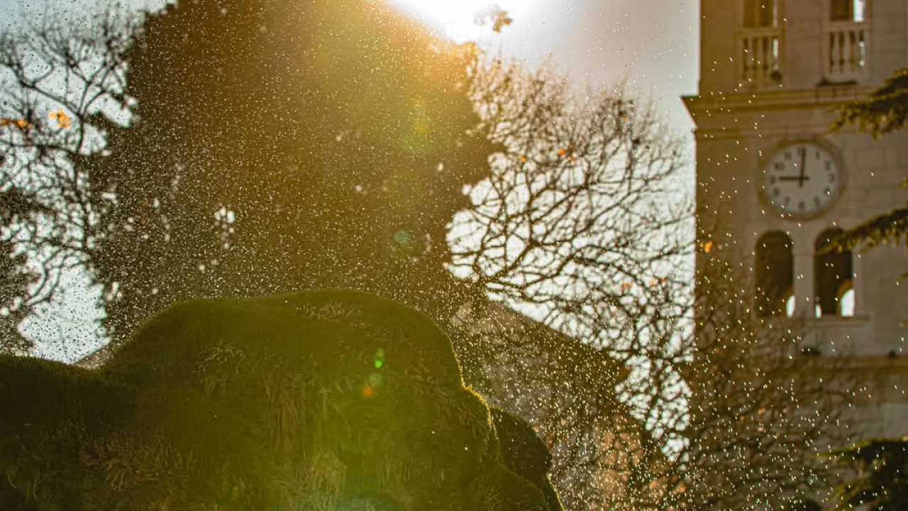 Šibenska atrakcija: Živa fontana kod Gospe vanka grada rijetkost i u svijetu