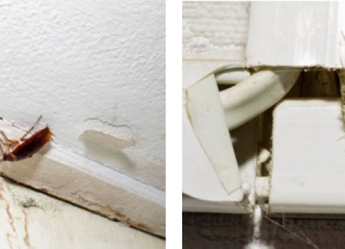 Fotografija 5 - FOTO Dojadilo vam je čišćenje pljesnivih i vlažnih zidova, ništa više ne pomaže? Postoji rješenje!