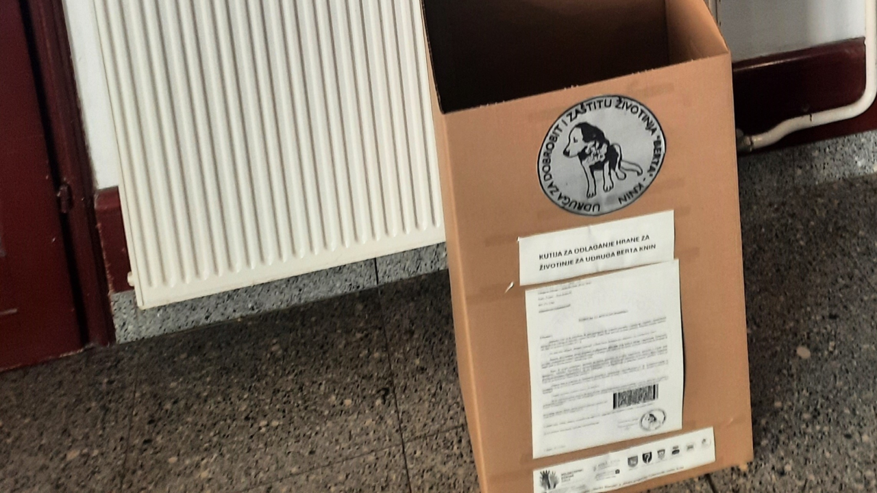Studenti Veleučilišta u Kninu imaju volontersku misiju za kninske njuškice u udruzi 'Berta'
