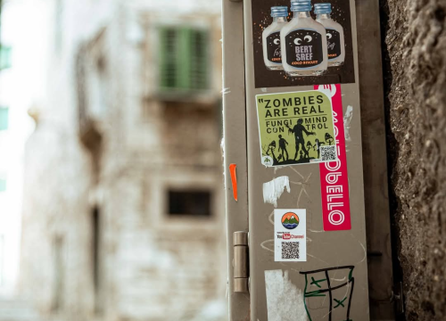 Fotografija 20 - Gorica zimi: U starom šibenskom kvartu 'nema pasa', ali nađe se poneka mačka