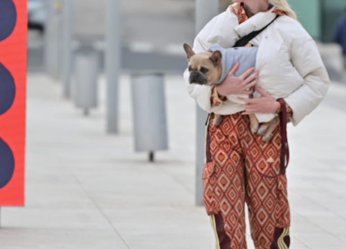 Fotografija 21 - Đir po gradu, nedjelja 16. veljače