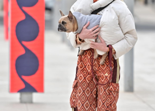 Fotografija 22 - Đir po gradu, nedjelja 16. veljače