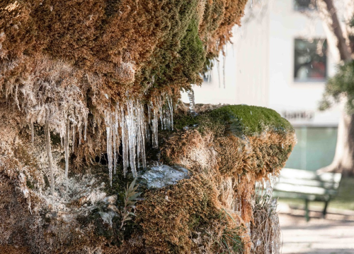 Jutros je zaledila fontana kod Gospe vanka Grada: Nije bilo puno leda, a neće ga ni biti više ove zime