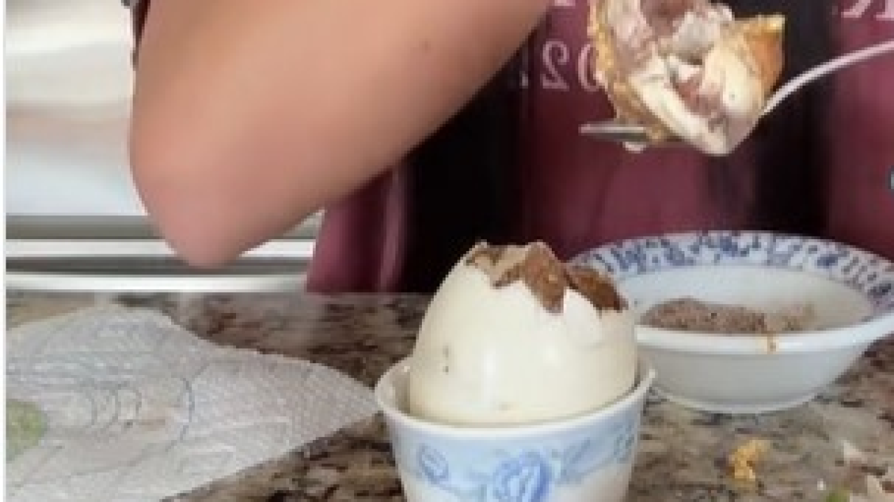 Svijet je pun neobičnih jela, a ovo su neka od najbizarnijih