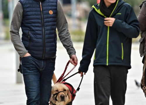 Fotografija 19 - Đir po gradu, nedjelja 23. veljače