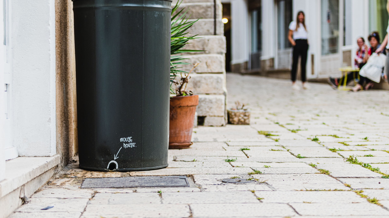 Od ponedjeljka kreće proljetna deratizacija na području grada Šibenika