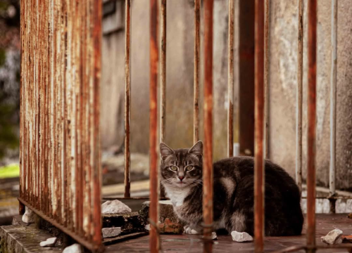 Fotografija 19 - Lijepa Crnica više nije 'Mangan City': Još da ju je malo dodatno urediti