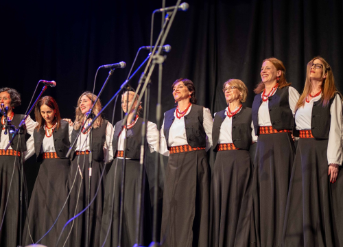 Fotografija 10 - Humanitarni koncert u Vodicama: Klape zapjevale za malu Petru