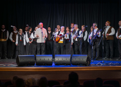 Fotografija 1 - Humanitarni koncert u Vodicama: Klape zapjevale za malu Petru