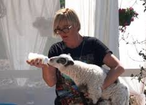 Fotografija 13 - Ivana Šimac Mehić bila je 22 godine medicinska sestra, a sada je uspješna i sretna poduzetnica na svom OPG -u