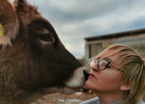 Fotografija 14 - Ivana Šimac Mehić bila je 22 godine medicinska sestra, a sada je uspješna i sretna poduzetnica na svom OPG -u