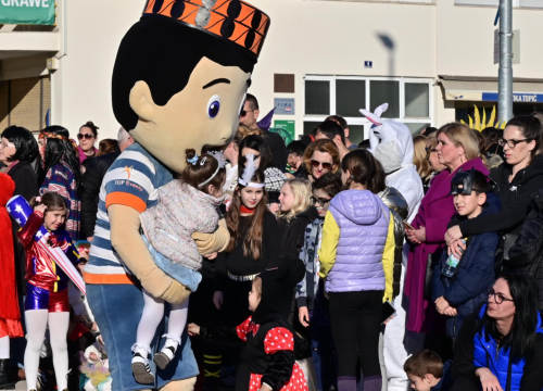 Fotografija 12 - Maškarana povorka prošla kroz grad (1)