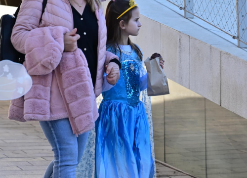 Fotografija 21 - Maškarana povorka prošla kroz grad (1)