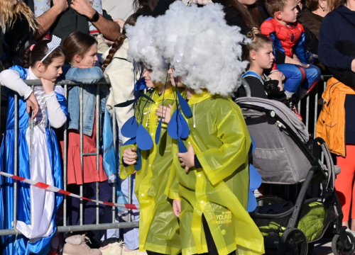 Fotografija 34 - Maškarana povorka prošla kroz grad (1)