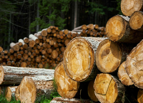 Grad Knin novčano pomaže građanima koji se griju na drva. Evo koji su uvjeti