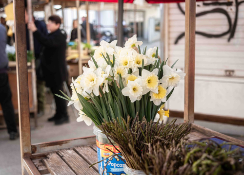 Fotografija 9 - Petak na šibenskoj pijaci