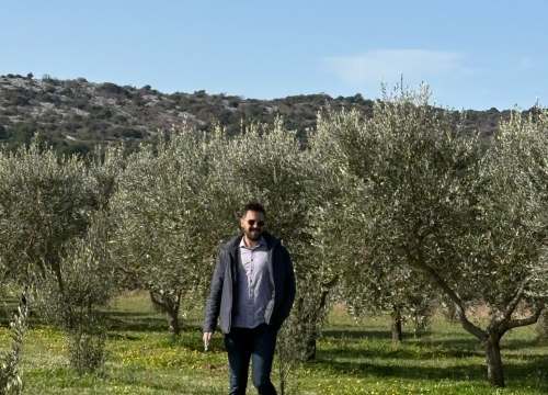 Fotografija 5 - Velik broj maslinara okupio se u Pirovcu na radionici rezidbe maslina