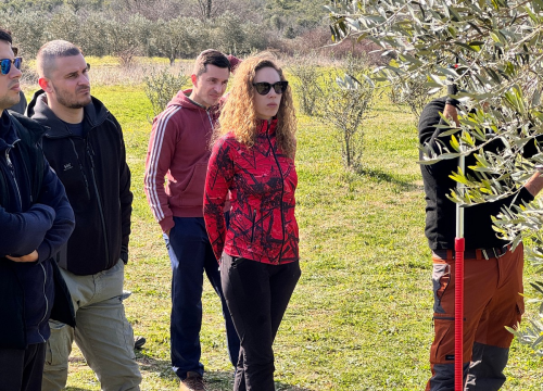 Fotografija 10 - Velik broj maslinara okupio se u Pirovcu na radionici rezidbe maslina