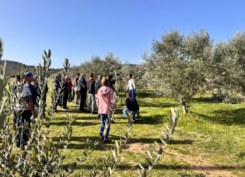 Fotografija 13 - Velik broj maslinara okupio se u Pirovcu na radionici rezidbe maslina