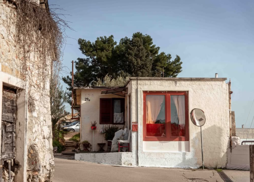 Fotografija 53 - Mandalina - pomorska oaza Šibenika