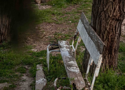 Fotografija 29 - Mandalina - pomorska oaza Šibenika