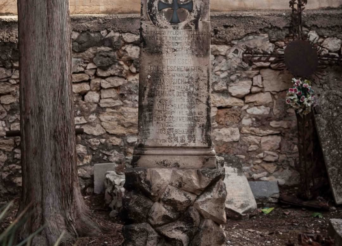 Fotografija 16 - Mandalina - pomorska oaza Šibenika
