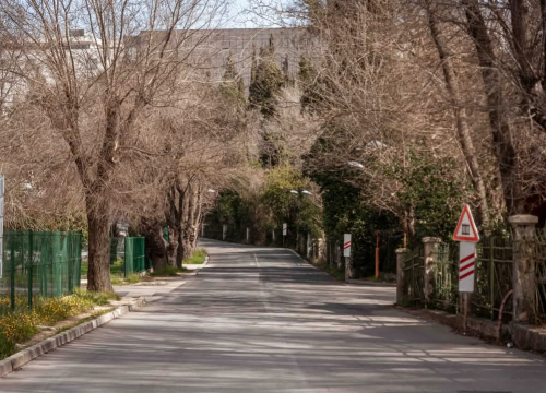 Fotografija 12 - Mandalina - pomorska oaza Šibenika