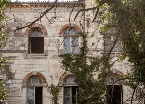 Fotografija 10 - Mandalina - pomorska oaza Šibenika