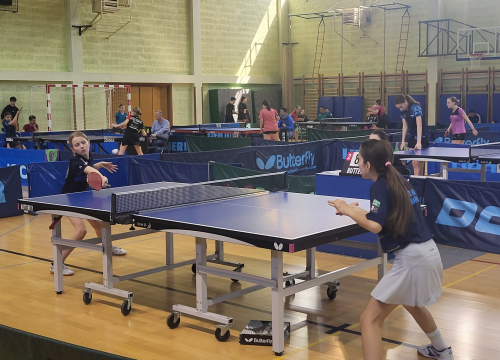 Fotografija 3 - FOTO: Stolnotenisačice Šibenika nastupile u Krapini, Vilmi Despot bronca