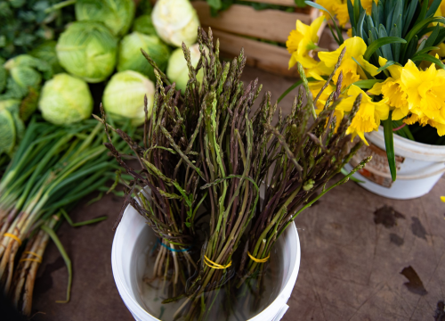 Sezona šparoga: Evo još jedne odlične ideje kako ih pripremiti za ručak