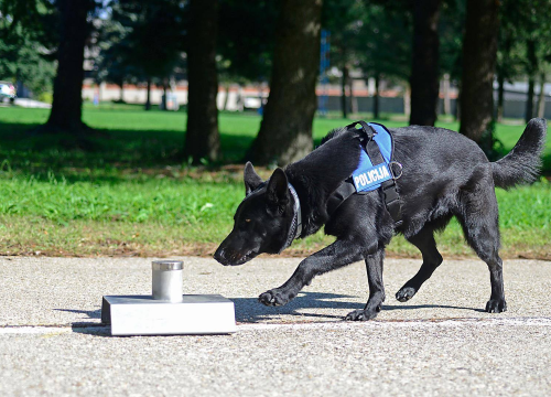 Neće još na slobodu: Dvojac uhvaćen s kokainom kod Vodica ostaje u šibenskom zatvoru
