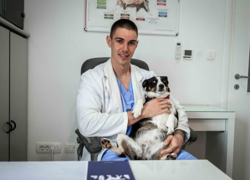 Fotografija 1 - Anđelo Zorica oduvijek je znao da će biti veterinar