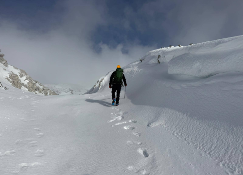 Fotografija 5 - Anđelo Zorica oduvijek je znao da će biti veterinar