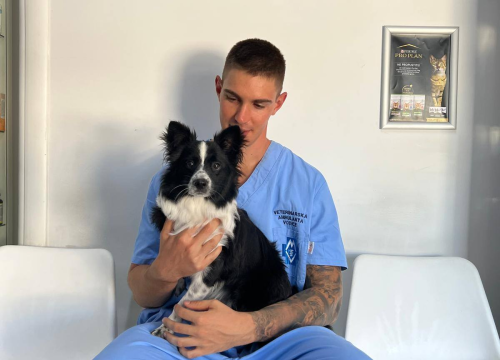 Fotografija 4 - Anđelo Zorica oduvijek je znao da će biti veterinar