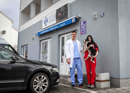 Fotografija 13 - Anđelo Zorica oduvijek je znao da će biti veterinar