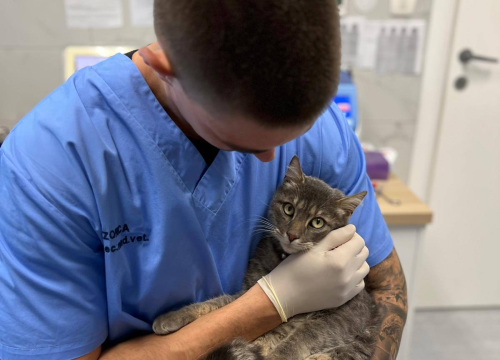 Fotografija 15 - Anđelo Zorica oduvijek je znao da će biti veterinar