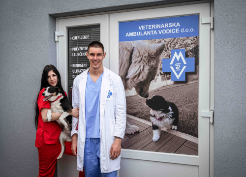 Fotografija 16 - Anđelo Zorica oduvijek je znao da će biti veterinar