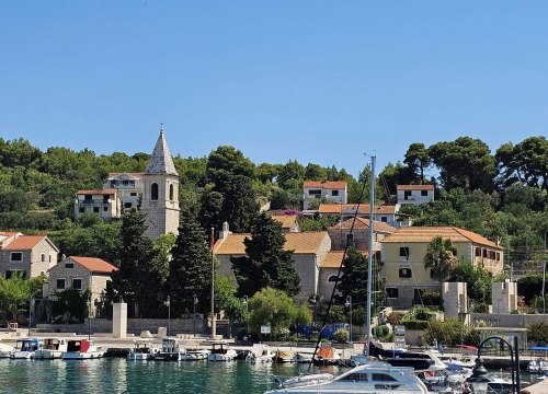 Od početka godine na Prviću nestalo i uginulo 20 mačaka: 'Obavijestili smo policiju'