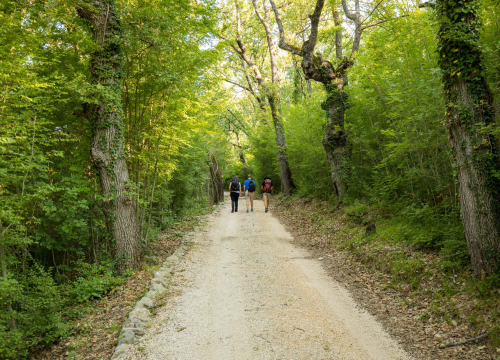 Fotografija 3 - FOTO: Dočekajte proljeće u Nacionalnom parku „Krka“ po cijeni ulaznice od 7 eura