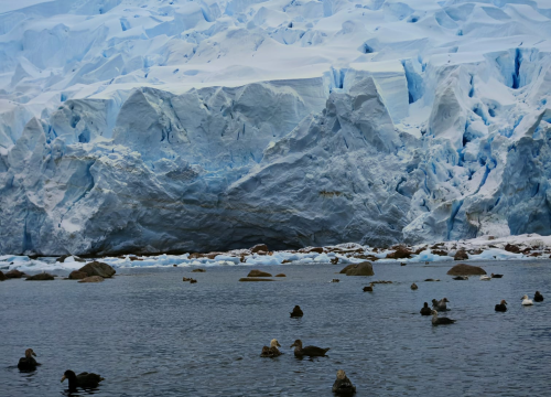 Fotografija 46 - Veliki Gogo na sedmom kontinentu: 'Ako bi Antarktiku trebao opisati riječima, osjećao bi se da abnormalno umanjujem doživljaj'