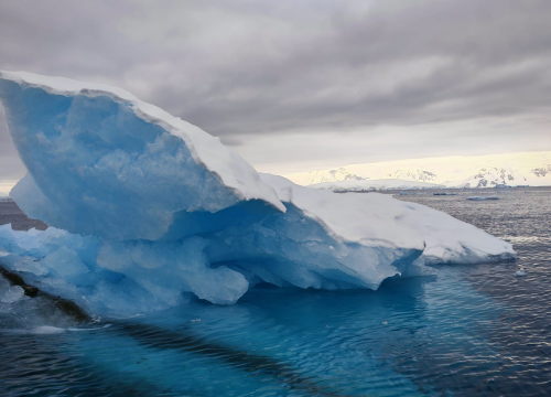 Fotografija 38 - Veliki Gogo na sedmom kontinentu: 'Ako bi Antarktiku trebao opisati riječima, osjećao bi se da abnormalno umanjujem doživljaj'